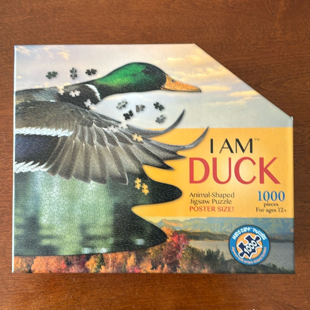 1000 piece puzzle